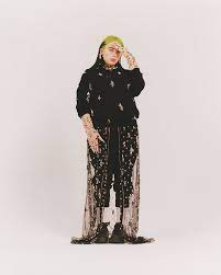 Eilish provides very illuminating results to the same questions a year later, showcasing just how much her career has changed in the short spam of time. Billie Eilish Interview The Pop Star On Finneas Her Grammy Wins Joe Biden And More Vanity Fair