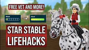 Star Stable Lifehacks! (free vet, any tack on any horse & more!) [2022] -  YouTube
