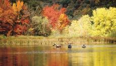 Explore trails and places with names like mica mine road and gold mine brook that recall the days when the hills of chester were pitted with small mines producing mica, emery and corundum. Chester Blandford State Forest Mass Gov