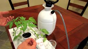 The Rusted Garden Journal Just Tomato Videos