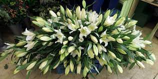 White Lily Full Casket Spray Casket Flowers Funeral Flowers Casket Sprays