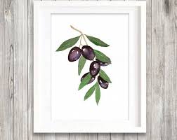 Black Olive Fine Art Print Set 4 Green Olive Watercolor Painting Kitchen Art Print Women Gift Idea Food Decoration Olives Restaurant Poster Tree Watercolor Painting Watercolor Trees Fine Art Prints