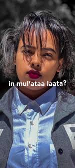 Tarii Quba Qabdaa Laata: Walaloo Afaan Oromoo