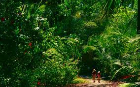 Drake bay, costa rica, corcovado national park, wild life photography, landscape photography, tropical jungle kathy and i were on a hike along the jungle and oceans edge in drake's bay, costa rica. Immerse Yourself In Corcovado National Park Evaneos