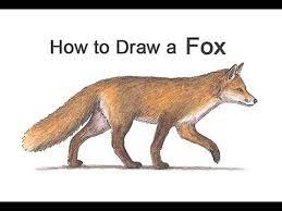 How To Draw A Fox (Color) - Youtube
