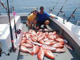 When you hit bottom you want to hold bottom. 2021 Florida Red Snapper Season Guidelines
