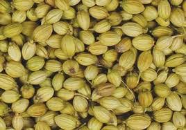 Buy coriander seeds and get the best deals at the lowest prices on ebay! Coriander Seeds Shree Jaydev Traders