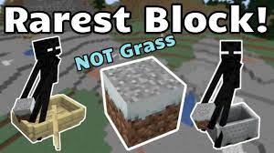 Let us know in the comments below! Rarest Block In Minecraft Minecraft Java Youtube