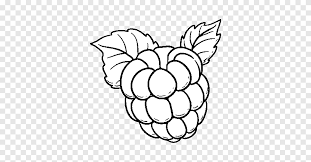 Zeichnen Rote Himbeer Malbuch Malerei Himbeere Schwarz Und Weiss Bereich Kunst Png Pngegg