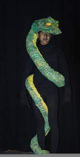 Snake costume dragon costume diy costumes halloween costumes costume ideas sea creature costume the gruffalo komodo dragon fancy dress for kids. Pin By The Stage School Chicago On Little Mermaid Ideas Jungle Book Costumes Snake Costume Jungle Costume