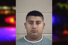 Irvin Perez-Giron — Whitfield County Jail Bookings