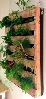 Although you could plant out your pallet with it resting on the ground, placing it on a tabletop or sawhorses makes it easier to work with from a standing position. Pallet Gardens 10 Amazing Garden Pallets And Tips How To Get Started Pallets Garden Vertical Garden Wall Wall Planters Indoor