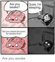 Are You Awake Funny Meme On Esmemes Com