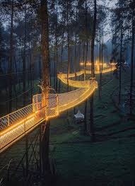 The Largest Orchid Forest In Indonesia Beautiful Places To Visit Places To Travel Beautiful Places To Travel