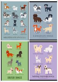 Dog Type 2 Dog Breeding Business Coton De Tulear Dogs Dog Breeds List