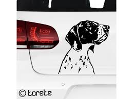 Image result for auvergneský ohař