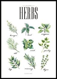 We did not find results for: Poster With Kitchen Art Herbs Kitchen Prints Online Desenio Co Uk