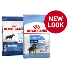 Royal canin sas 30470 aimargues franse импортер в беларусь: Royal Canin Maxi Puppy Dry Dog Food Petsmartnigeriapetsmartnigeria