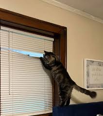 Quan knows that he stay in somebody's business. 😂