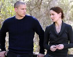 Sarah Wayne Callies Prison Break Prison Sarah Wayne Callies