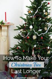 How To Make Your Christmas Tree Last Longer How To Make Christmas Tree Christmas Tree Water Live Christmas Trees