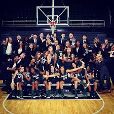 Crazy Bunch Msu Wbasketball Msu Spartans Basketball Teamphoto Mediaday Padgram Team Photos Msu Spartans Womens Basketball
