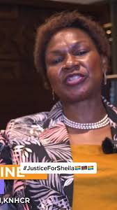 Human Rights Advocacy in Kenya by Roseline Odede