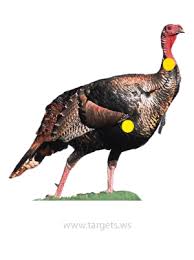 may shooting competition spring turkey shoot targets uscca community