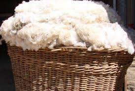 Check spelling or type a new query. Australia Negeri Yang Pernah Dikenal Dengan Industri Bulu Dombanya Republika Online