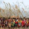 Now about king mswati multiplying wives, there is nothing morally or spiritually wrong with him taking more than one wife, he is a king, and that is what black kings have always done since time began. 1