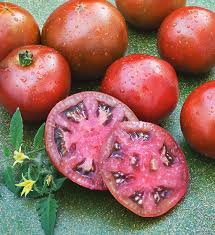 Black krim is a popular variety of heirloom tomato with dark maroon to purple flesh that becomes darker when it matures in hotter weather. Black Prince Heirloom Tomato Siberian Native Gourmet Taste