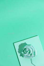 Check out this fantastic collection of blue sky aesthetic wallpapers, with 54 blue sky aesthetic background images for your desktop, phone or tablet. Flowers Aesthetic Images Search Images On Everypixel