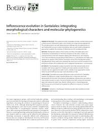 Image result for Phragmanthera crassicaulis