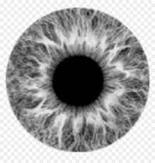 Ttdeye zombie curse colored contact lenses $29.99 $40.99. White Eye Lens Png Transparent Png Vhv