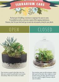 How To Care For Open Vs Closed Terrariums Open Terrariums Closed Terrarium Plants Plants