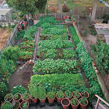 Search titles only has image posted today bundle duplicates include nearby areas birmingham, al. Pin On Alberi Da Frutto Per Giardino
