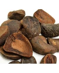 Image result for Cola clavata