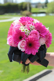 Check spelling or type a new query. Pink Wedding Flowers Pink And Black Wedding Hot Pink Gerbera Daisies Pink Roses Blue Wedding Flowers Blue Wedding Flowers Bouquet Wedding Flowers Tulips