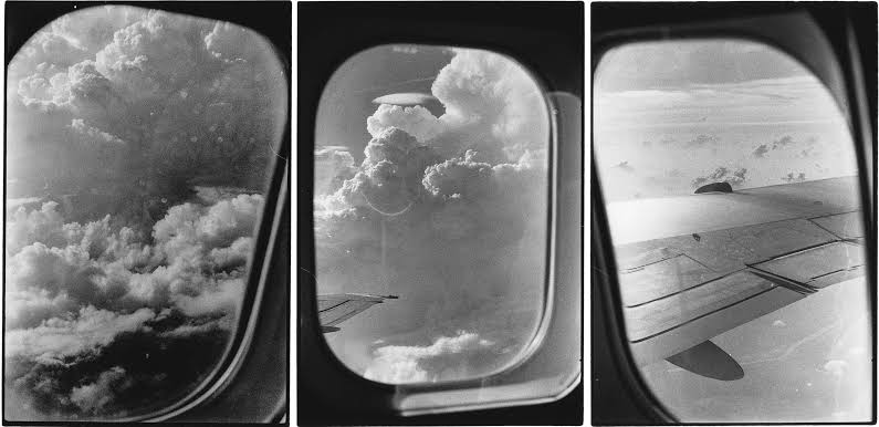 Work by Zoe Leonard
