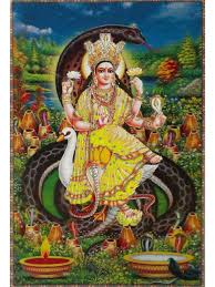 Get to know your apple watch by trying out the taps swipes, and presses you'll be using most. Maa Manasa Devi Hindu Art Indian Art Paintings Ganesha Art