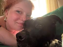 This is my dog milo he got out today we haven't been able to locate him for  the past couple hours he's wearing a green colllar