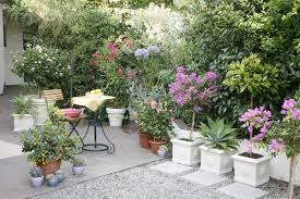 Terrasse Mit Kubelpflanzen Yard Decor Outdoor Decor Plants