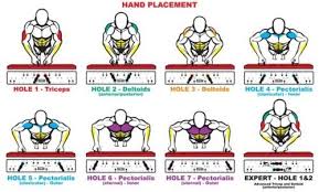 Push Up Hand Positions And Target Muscle Chart Bar Workout