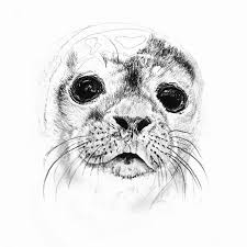Pin By Sunson Mountaintopwaterdrop On Sketch Reference Sea Creatures Drawing Animal Drawings Creature Drawings