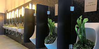 Rostock und rügen statt mallorca: Corona Exit Das Sind Die Kreativsten Corona Umbauideen Der Branche