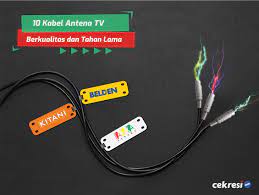 Salah satunya yaitu kegiatan menonton televisi, saat ini menonton televisi selain bisa melalui aplikasi dengan menggunakan koneksi internet, sesuai program pemerintah nantinya siaran tv analog akan dimatikan dan diganti dengan siaran tv digital. 10 Kabel Antena Tv Berkualitas Dan Tahan Lama Cekresi Com