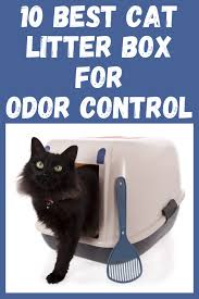 Best Cat Litter Box For Odor Control Cat Litter Smell Best Cat Litter Cat Litter Odor