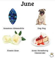 Your Birth Month Reveals Fascinating Secrets About Your Personality Birth Month Birth Month Personality Birth Month Meanings