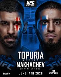 UFC commentator's net worth and paychecks