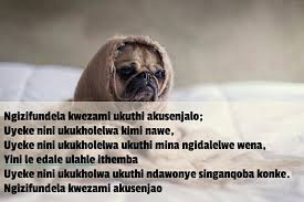 A man without a wife is like a vase without flowers. Pin On Ubuhlungu Bothando Sad Love Quotes
